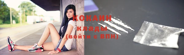 ГАЛЛЮЦИНОГЕННЫЕ ГРИБЫ Белокуриха